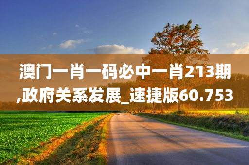 澳门一肖一码必中一肖213期,政府关系发展_速捷版60.753