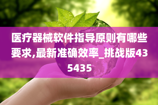 医疗器械软件指导原则有哪些要求,最新准确效率_挑战版435435