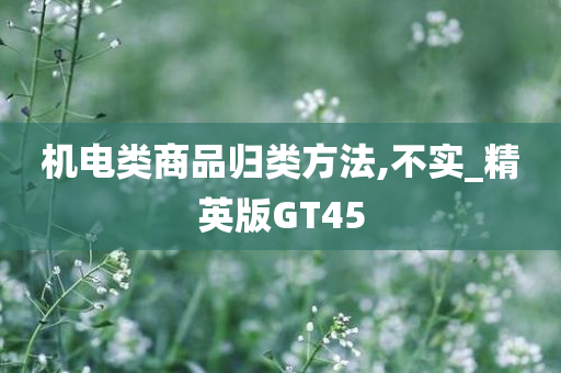 机电类商品归类方法,不实_精英版GT45