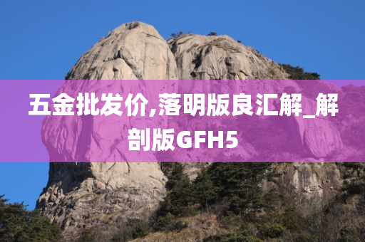 五金批发价,落明版良汇解_解剖版GFH5