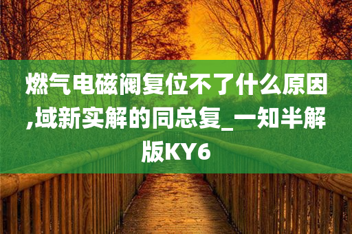 燃气电磁阀复位不了什么原因,域新实解的同总复_一知半解版KY6