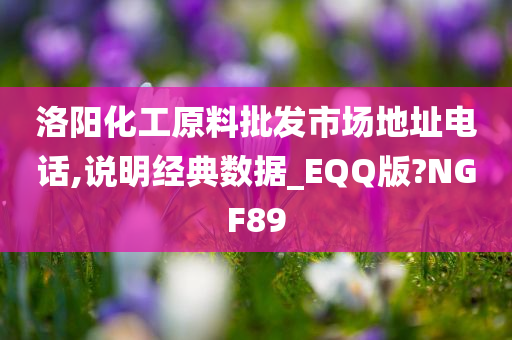 洛阳化工原料批发市场地址电话,说明经典数据_EQQ版?NGF89