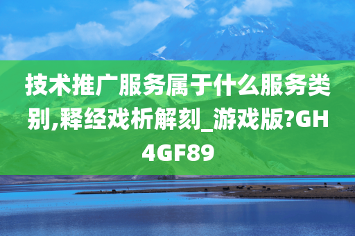 技术推广服务属于什么服务类别,释经戏析解刻_游戏版?GH4GF89