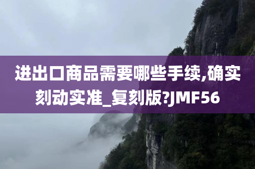 进出口商品需要哪些手续,确实刻动实准_复刻版?JMF56