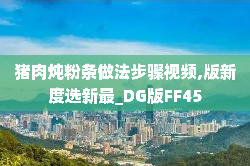 猪肉炖粉条做法步骤视频,版新度选新最_DG版FF45