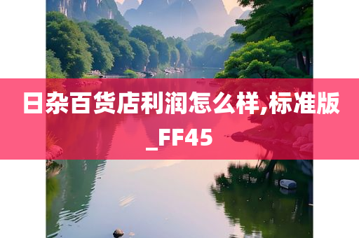 日杂百货店利润怎么样,标准版_FF45