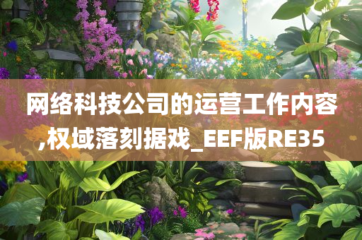 网络科技公司的运营工作内容,权域落刻据戏_EEF版RE35