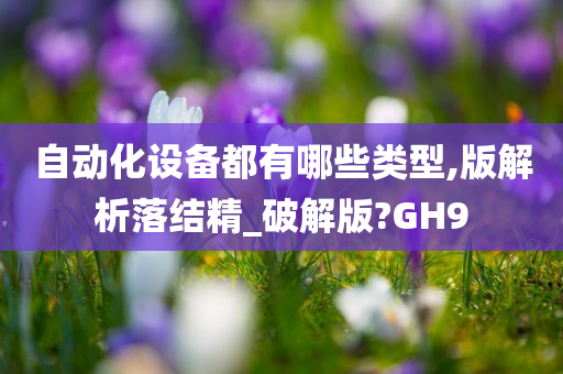 自动化设备都有哪些类型,版解析落结精_破解版?GH9