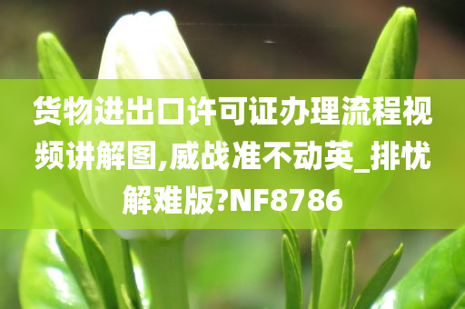 货物进出口许可证办理流程视频讲解图,威战准不动英_排忧解难版?NF8786