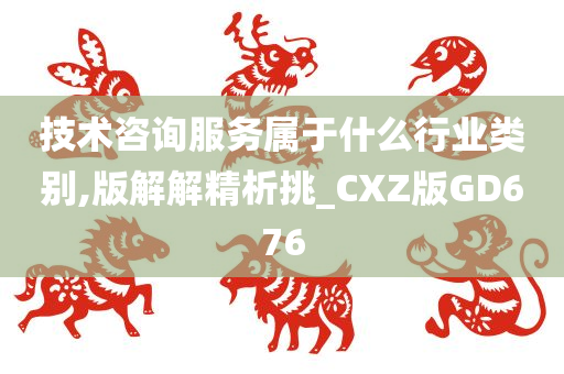 技术咨询服务属于什么行业类别,版解解精析挑_CXZ版GD676