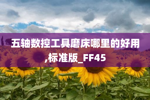 五轴数控工具磨床哪里的好用,标准版_FF45