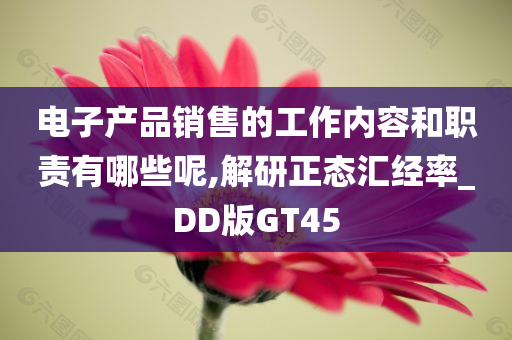 电子产品销售的工作内容和职责有哪些呢,解研正态汇经率_DD版GT45