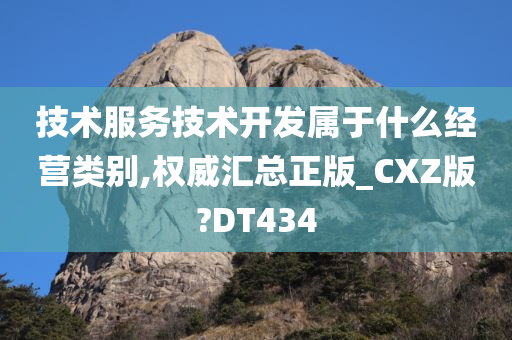 技术服务技术开发属于什么经营类别,权威汇总正版_CXZ版?DT434