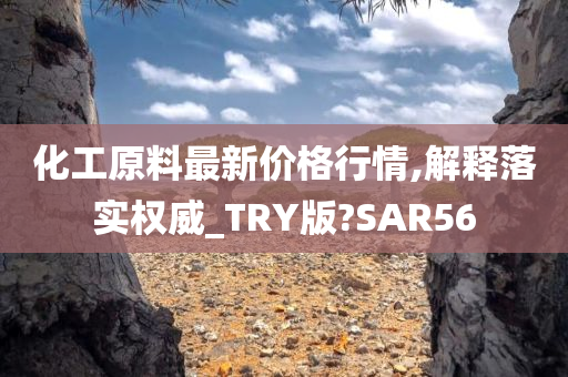 化工原料最新价格行情,解释落实权威_TRY版?SAR56