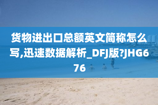 货物进出口总额英文简称怎么写,迅速数据解析_DFJ版?JHG676