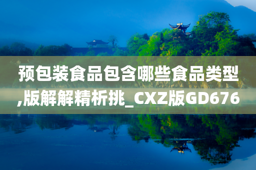 预包装食品包含哪些食品类型,版解解精析挑_CXZ版GD676