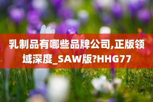 乳制品有哪些品牌公司,正版领域深度_SAW版?HHG77