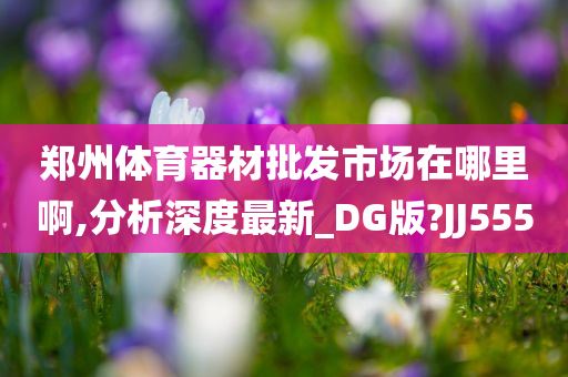 郑州体育器材批发市场在哪里啊,分析深度最新_DG版?JJ555