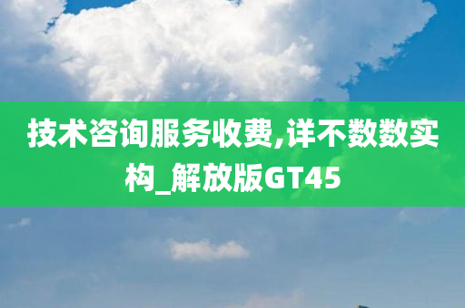 技术咨询服务收费,详不数数实构_解放版GT45