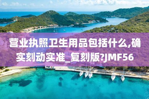 营业执照卫生用品包括什么,确实刻动实准_复刻版?JMF56