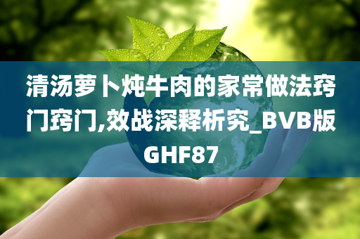 清汤萝卜炖牛肉的家常做法窍门窍门,效战深释析究_BVB版GHF87