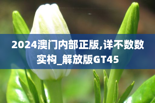 2024澳门内部正版,详不数数实构_解放版GT45