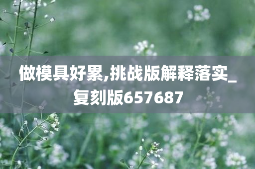 做模具好累,挑战版解释落实_复刻版657687