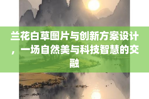 兰花白草图片与创新方案设计，一场自然美与科技智慧的交融