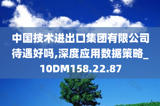 中国技术进出口集团有限公司待遇好吗,深度应用数据策略_10DM158.22.87