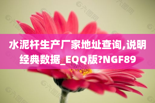 水泥杆生产厂家地址查询,说明经典数据_EQQ版?NGF89