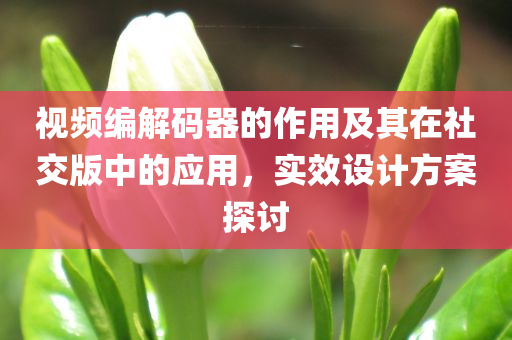 视频编解码器的作用及其在社交版中的应用，实效设计方案探讨