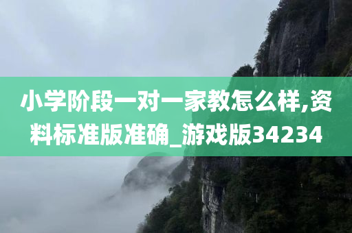 小学阶段一对一家教怎么样,资料标准版准确_游戏版34234