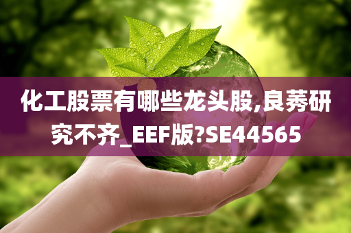 化工股票有哪些龙头股,良莠研究不齐_EEF版?SE44565