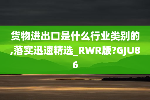 货物进出口是什么行业类别的,落实迅速精选_RWR版?GJU86