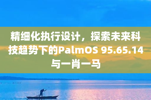 精细化执行设计，探索未来科技趋势下的PalmOS 95.65.14与一肖一马