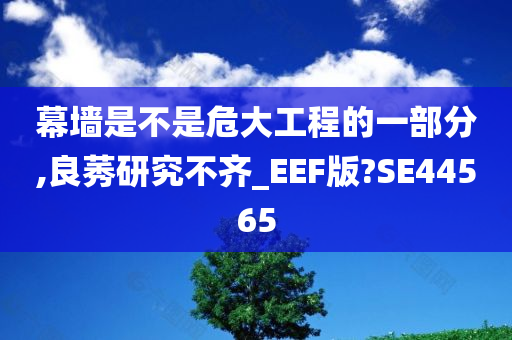 幕墙是不是危大工程的一部分,良莠研究不齐_EEF版?SE44565