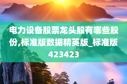 电力设备股票龙头股有哪些股份,标准版数据精英版_标准版423423