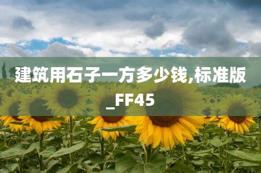 建筑用石子一方多少钱,标准版_FF45