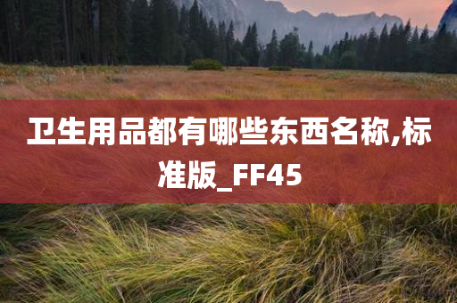 卫生用品都有哪些东西名称,标准版_FF45