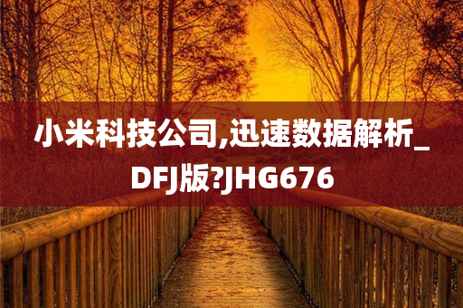 小米科技公司,迅速数据解析_DFJ版?JHG676