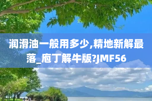 润滑油一般用多少,精地新解最落_庖丁解牛版?JMF56