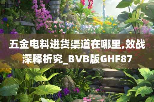 五金电料进货渠道在哪里,效战深释析究_BVB版GHF87