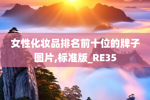 女性化妆品排名前十位的牌子图片,标准版_RE35