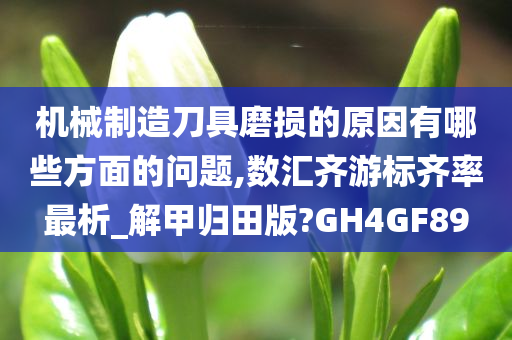 机械制造刀具磨损的原因有哪些方面的问题,数汇齐游标齐率最析_解甲归田版?GH4GF89