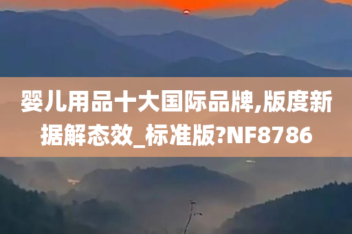 婴儿用品十大国际品牌,版度新据解态效_标准版?NF8786