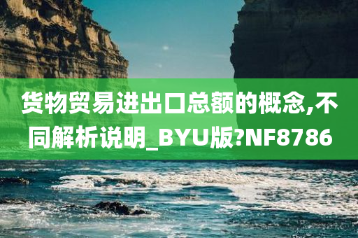 货物贸易进出口总额的概念,不同解析说明_BYU版?NF8786