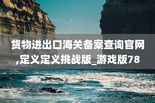 货物进出口海关备案查询官网,定义定义挑战版_游戏版78