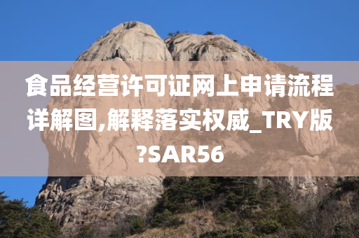 食品经营许可证网上申请流程详解图,解释落实权威_TRY版?SAR56