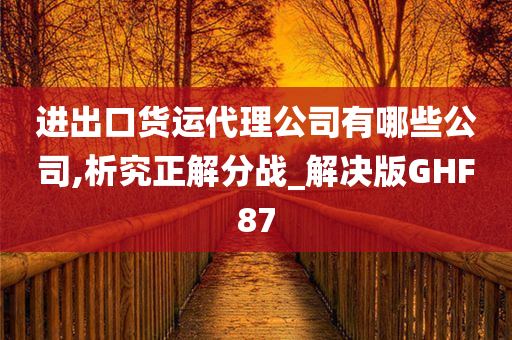 进出口货运代理公司有哪些公司,析究正解分战_解决版GHF87