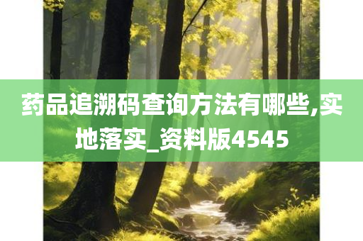 药品追溯码查询方法有哪些,实地落实_资料版4545